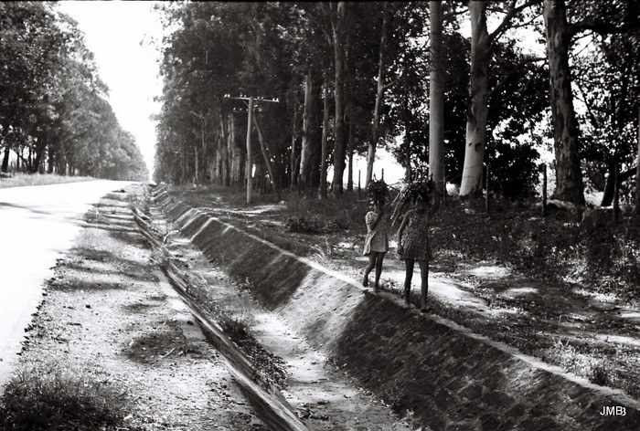 AÑO 1972 - BLANCO Y NEGRO - VIDA CAMPESINA EN PARAGUAY (JOSÉ MARÍA BLANCH)